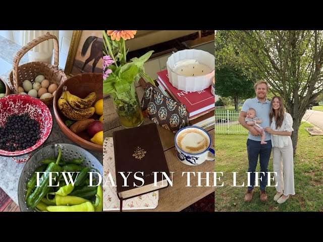 WEEKLY VLOG | A few days in the life, baby favorites, & favorite recipes!