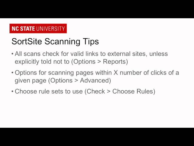 SortSite: The Basics
