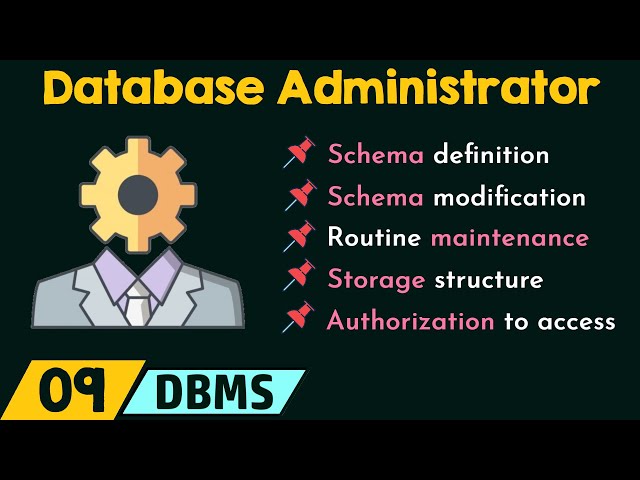Database Administrator (DBA)
