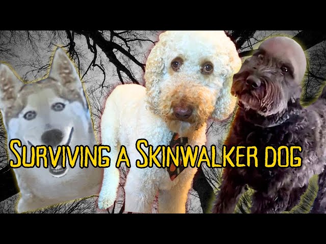 How to Survive a Skinwalker Dog 