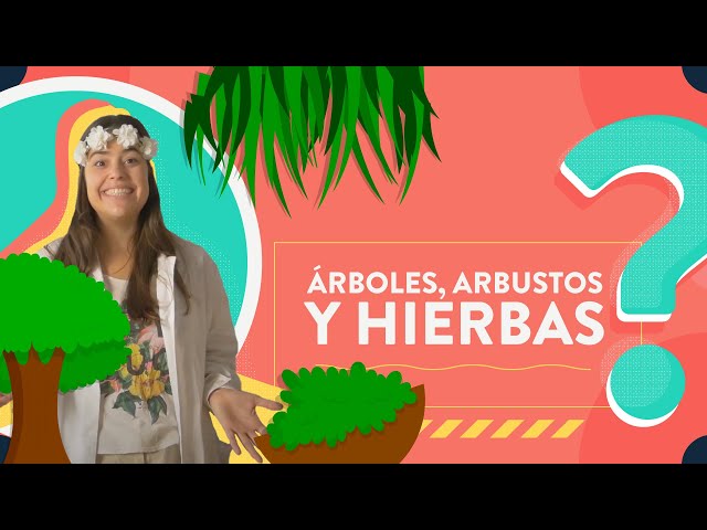 Árboles, arbustos y hierbas