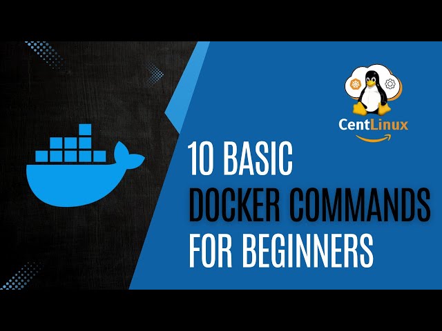 10 Docker Commands EVERY Beginner Should Know!