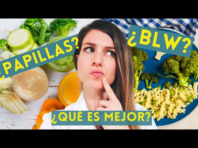 BLW or PORRIDGE? 🍉 Which is better? QUESTIONS about BABY LED WEANING Complementary feeding PART 3