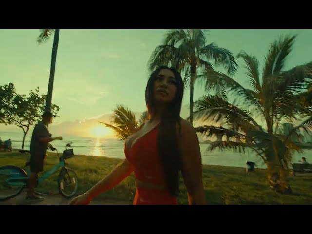 Through The Roots - Refund w/ Busy Signal (Official Visualizer)