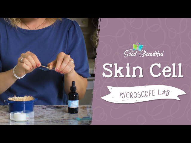 Skin Cell Microscope Lab | Kingdoms and Classification | The Good and the Beautiful