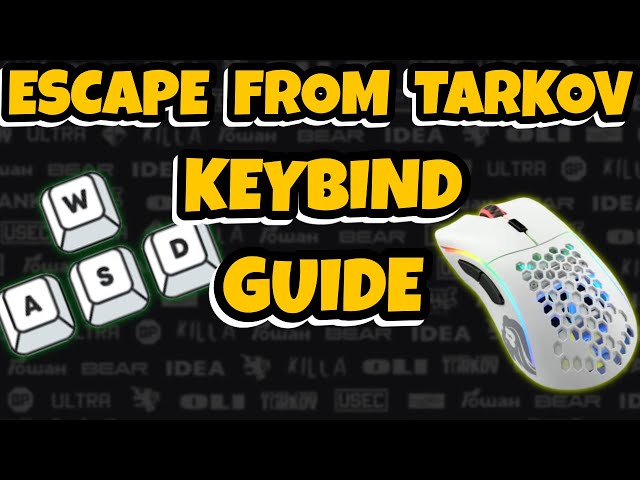Keybinds For New Players & Tech That Will Give You The UPPER HAND In EVERY Gunfight!
