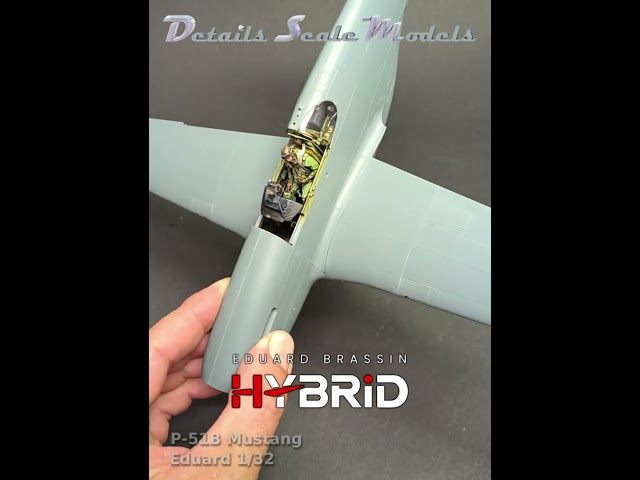 P-51B Mustang 1/32 Eduard HYBRID - ready to painting