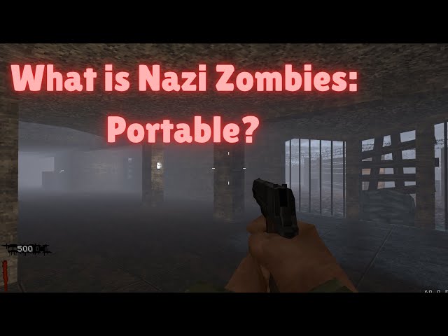 What is "Nazi Zombies: Portable"?