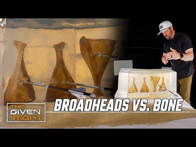 10 Broadheads vs. BONE | Slow Motion Impact Test