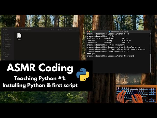 ASMR Teaching your how to install Python| keyboard typing | soft-spoken