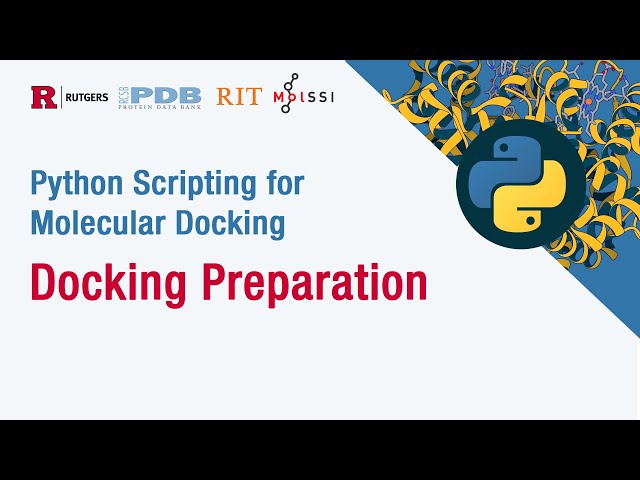 Python Scripting for Molecular Docking: Docking Preparation