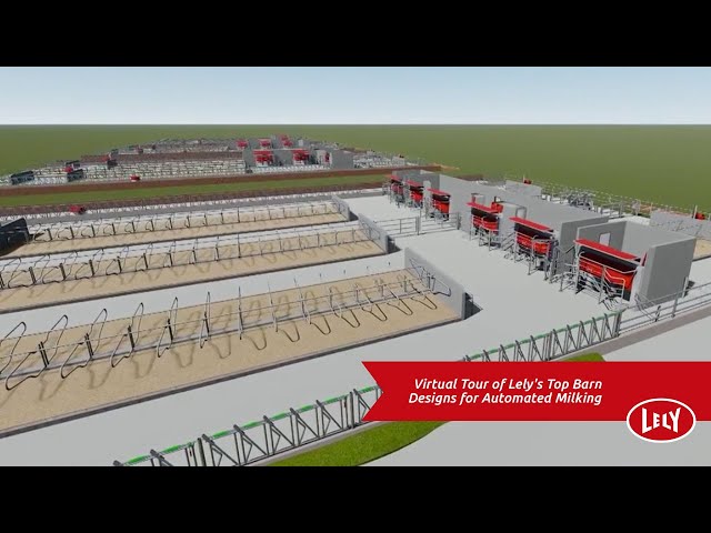 Lely's Top Barn Designs for Automated Milking | Virtual Tour
