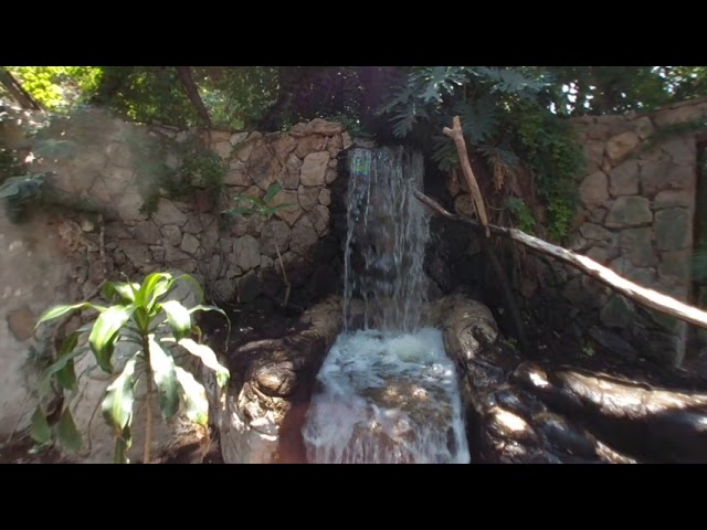 Cascada en realidad virtual | Zoológico de Guadalajara | Episodio #5