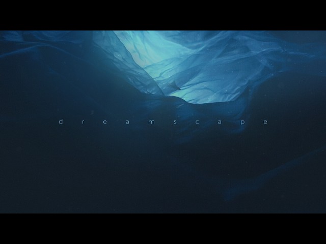 .diedlonely, sunsurfer - reflection