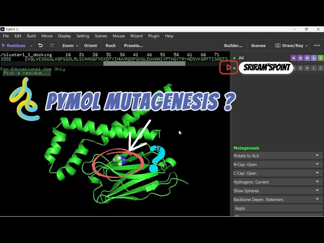 👉PyMOL Mutagenesis Tutorial | R50A Mutation, Docked Structure & PDB Export