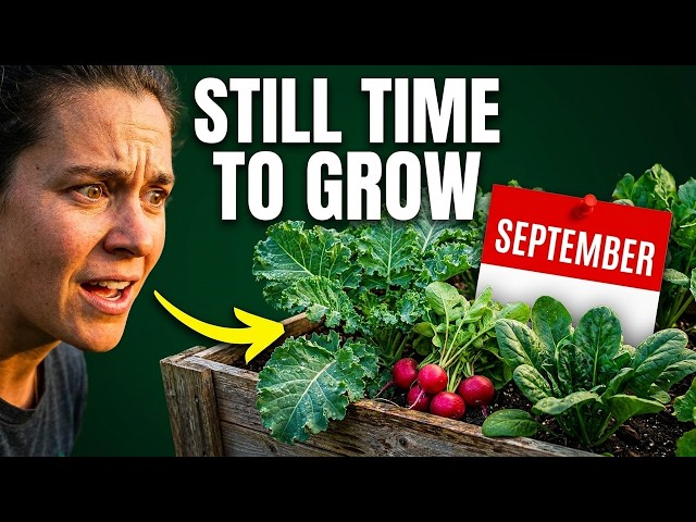 7 Vegetables You Can Still Plant in September for a Fall Harvest