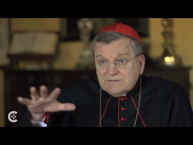 Cardinal Burke on SSPX