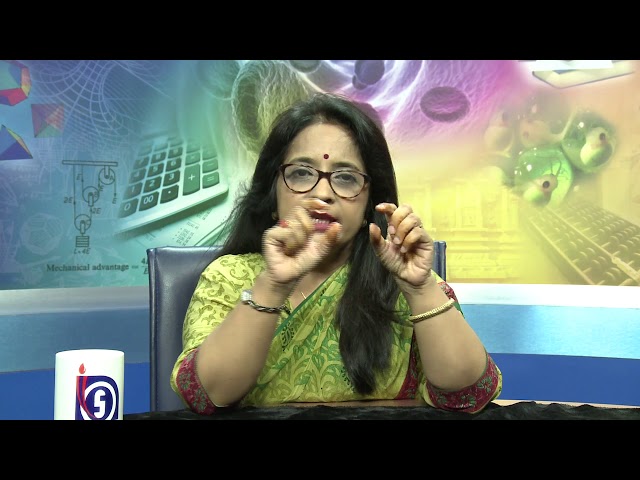 510 concept mapping in science new