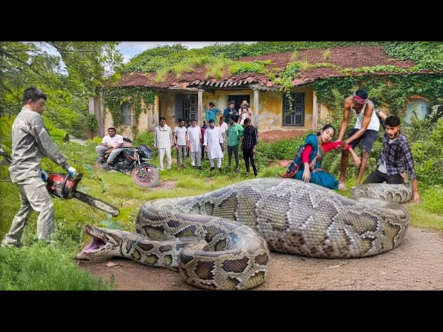 Anaconda Sanke Attack On Village Boy In Swamp | Anaconda Snake Attack Boys In Forest