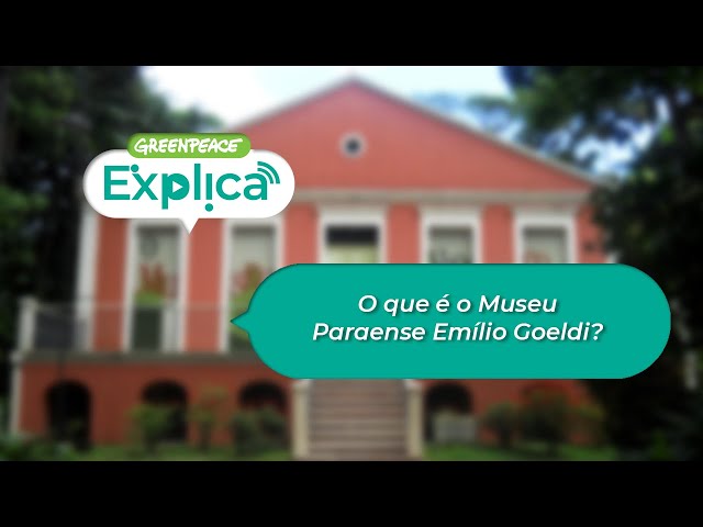 O que é o Museu Paraense Emílio Goeldi? - Greenpeace Explica