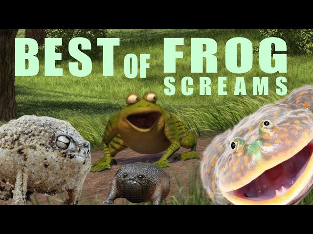 Best of frog screams (my selection)