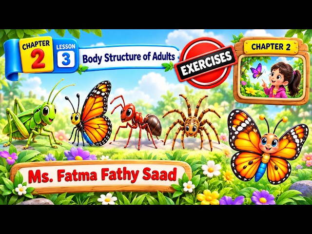 Primary 4 - Science - Chapter 2 - Lesson 3 - Exercises