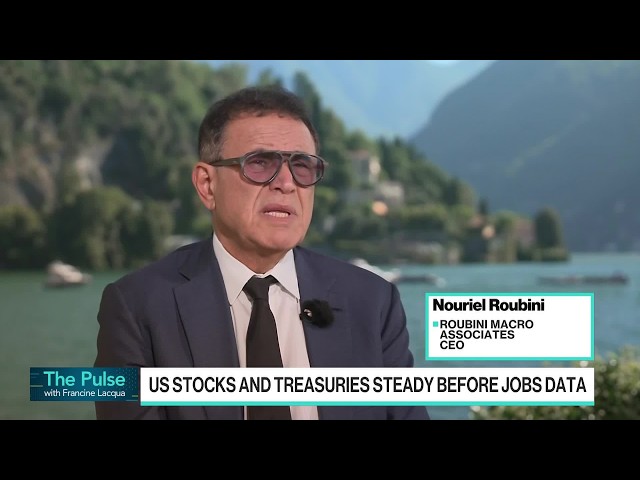 Roubini Says He's Not Concerned About an AI Bubble