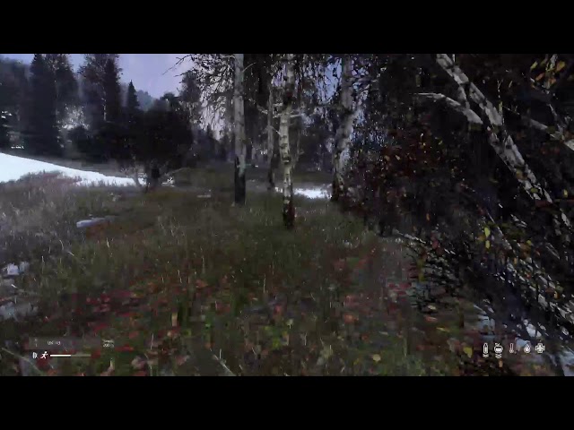 🥓The Friendly Bandits, Part 10 Sakhal Duo PS5 Gameplay 2025 DayZ