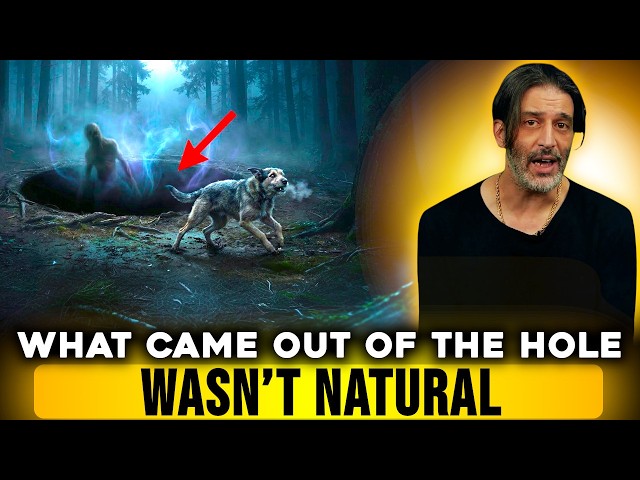 The Portal Hole Animals Refused to Approach