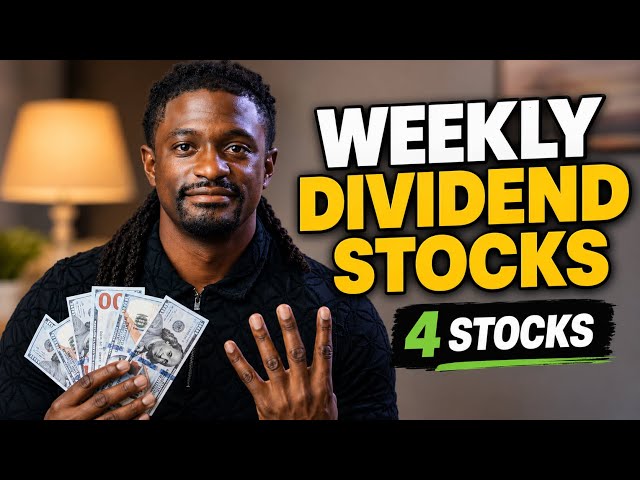 Weekly DIVIDENDS ‼️ Every Single Week With These 4 Stocks ‼️