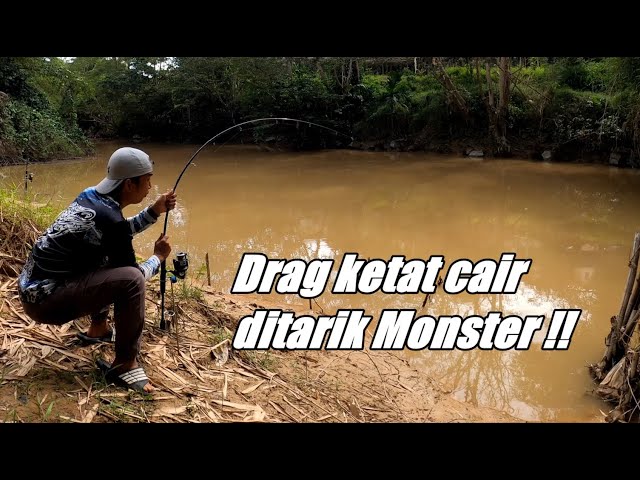 Seharian Mancing Baung Monster Hampir 14KG Kesemua Baung yang DAPAT ! || RIVER CATFISH HUNTER