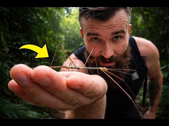 Rainforest Animals & Adaptations | From Vietnam to Borneo