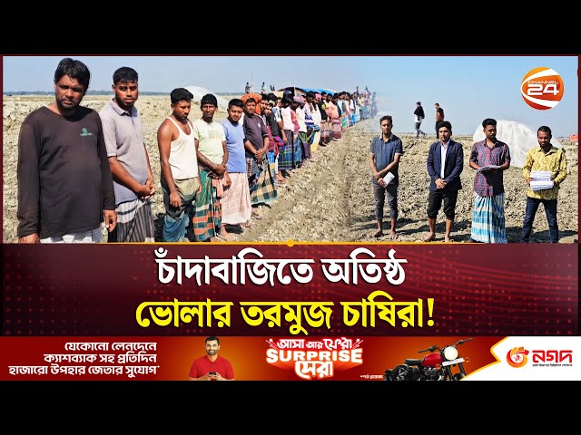 ভেলুমিয়া চরে তরমুজ চাষিদের মানববন্ধন: চাঁদাবাজদের বিরুদ্ধে প্রতিবাদ | Bhola | Channel 24