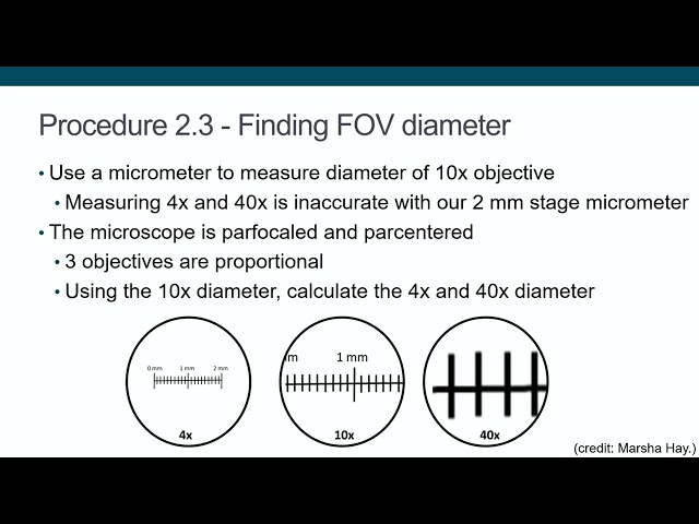 Lab 2 - Microscope (Part 3 - Lab experiments)