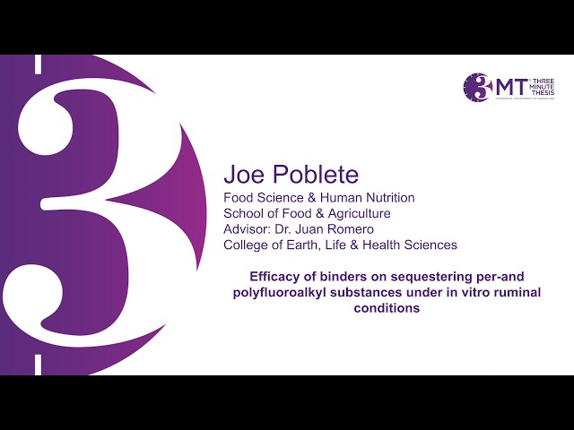 Efficacy of binders on sequestering per and polyfluoroalkyl substances || 3MT || UMaine Grad School