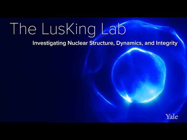 Nuclear Structure, Dynamics, & Integrity - The LusKing Lab at Yale School of Medicine