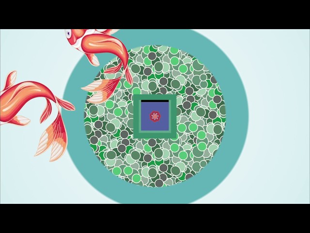 Made in Adobe Illustrator on iPad - Artist Showcase