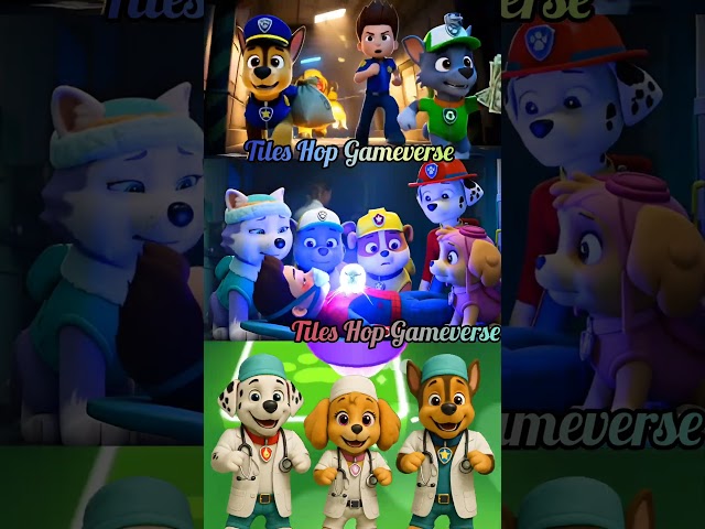 Paw Patrol Scary Chase vs Ryder vs Marshall Fun X Dance Cover Tiles Hop #pawpatrul #shorts #sonic 02