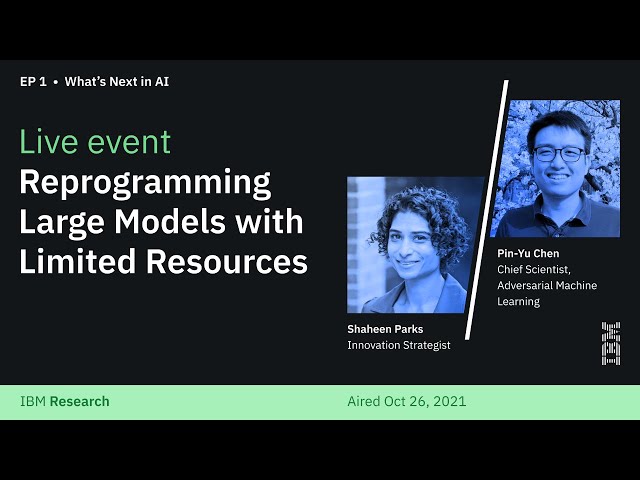 Reprogramming Large Models with Limited Resources