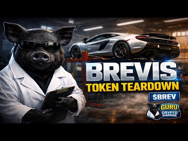 Brevis ($BREV) Token Teardown | Real Infrastructure Explained (No Hype)