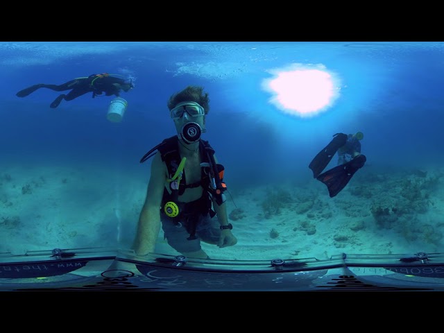 Nurse Shark Dive with Captain Slate - Insta360 ONE X with 360bubble housing