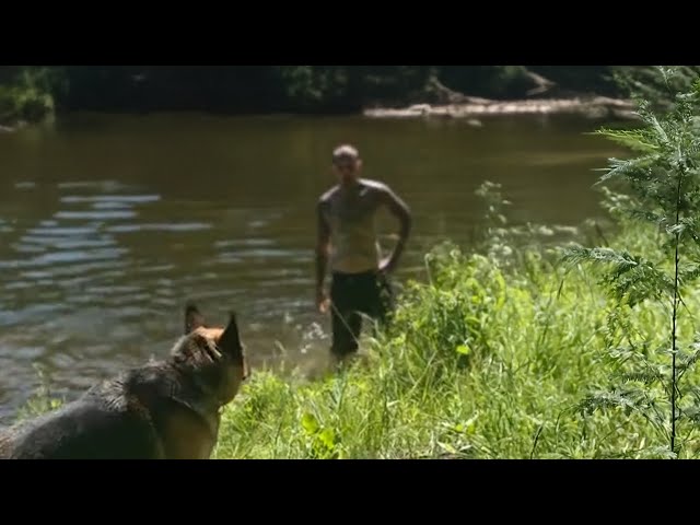 6 Disturbing Forest Encounters Caught On Camera