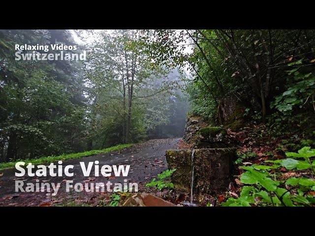 Tranquil Autumn Rain Sounds 4K | Swiss Forest Ambience for Sleep