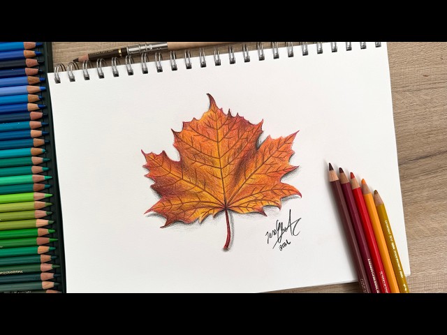 How to Draw a Realistic Maple Leaf with Colored Pencils