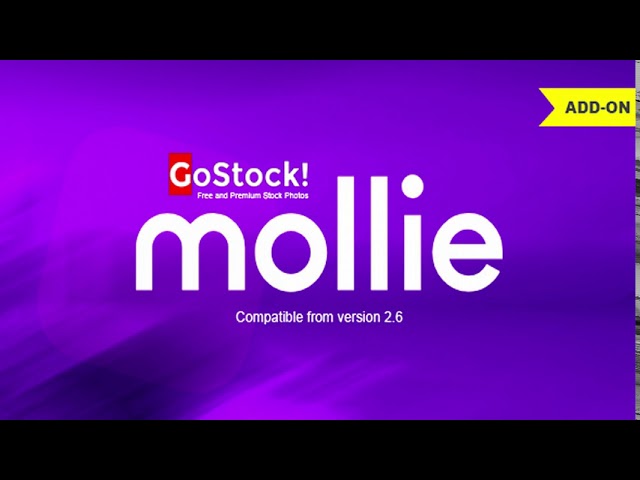 Mollie Payment Gateway for GoStock | Codecanyon Scripts and Snippets