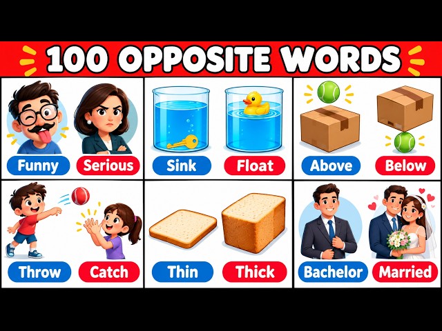 100 Opposite Words | Antonyms In English | Opposites with Examples | English Vocabulary!