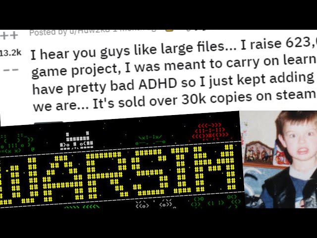 The Day /r/ProgrammerHumor Stood Still | Warsim (Developer Interview)