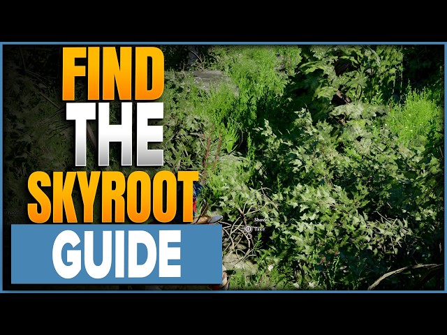 How To Harvest Skyroot In Crimson Desert