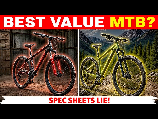 10 Hardtails That Prove Cheap Doesn't Mean Junk