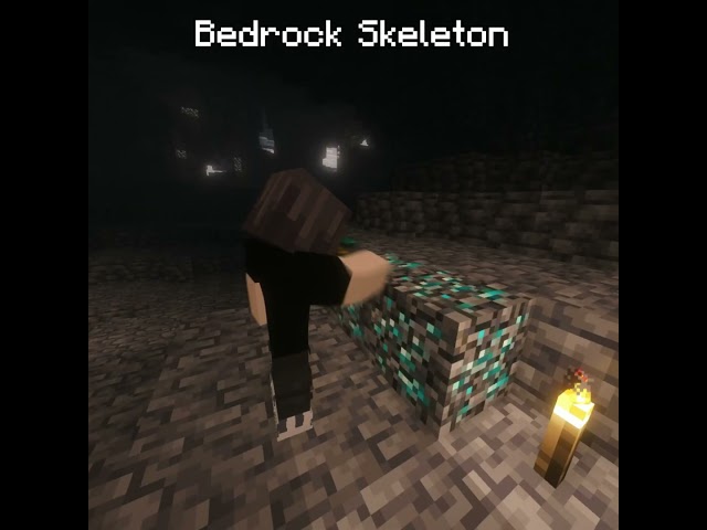 Java Vs Bedrock #minecraft